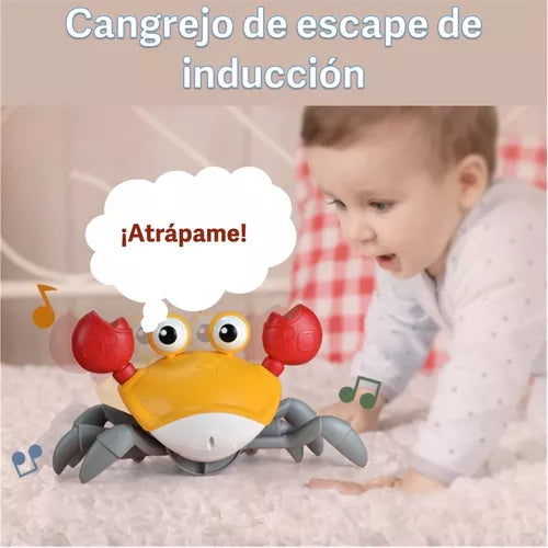 Cangrejo para gatear y jugar 🦀