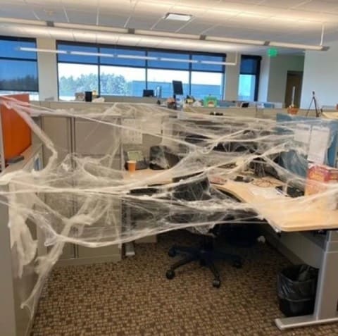 Telaraña Halloween de adorno 🧟