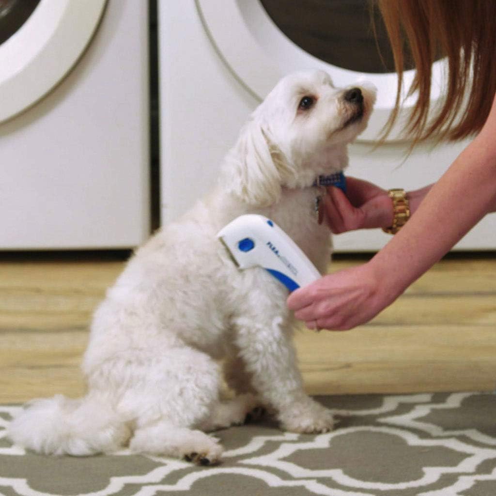 Cepillo eléctrico quita pulga 🐶